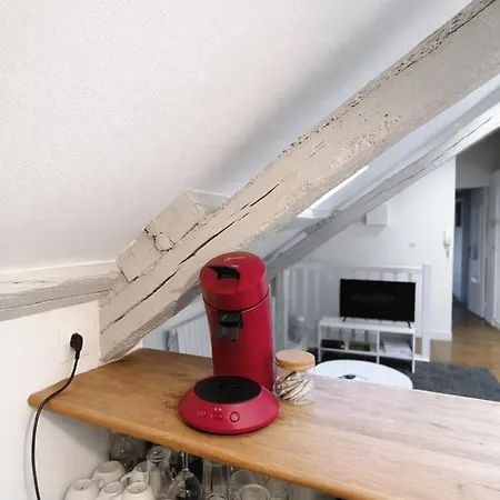 Apartment Nid Sous Les Combles - Centre & Gare