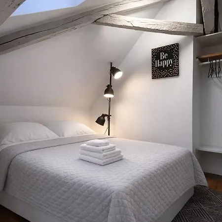 Nid Sous Les Combles - Centre & Gare Apartment Tours