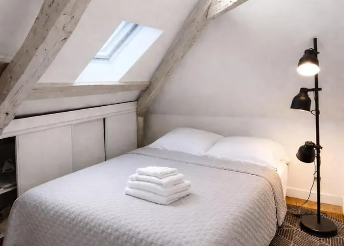 Nid Sous Les Combles - Centre & Gare *