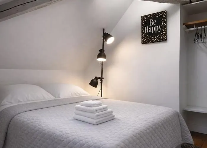 Nid Sous Les Combles - Centre & Gare Apartment Tours
