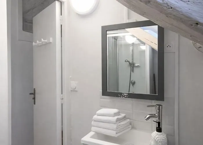 Apartment Nid Sous Les Combles - Centre & Gare Tours