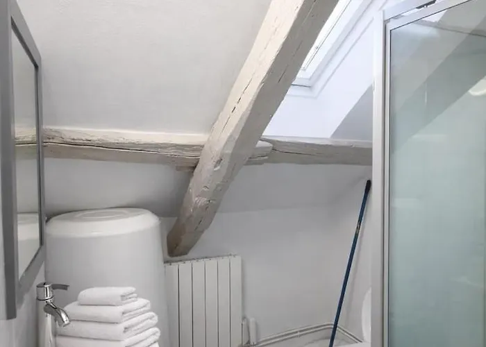 Nid Sous Les Combles - Centre & Gare Apartment *